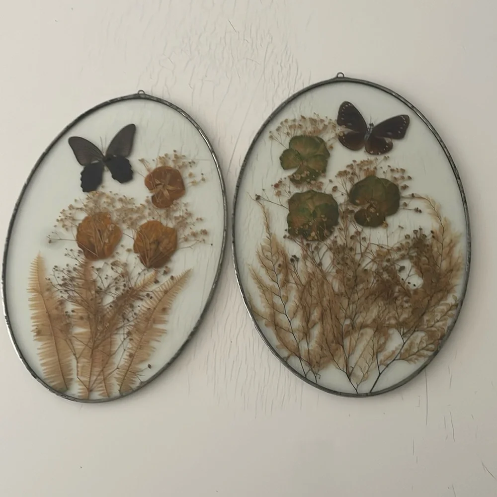 Wall Art dried butterflies and flowers Set of 2